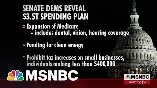 Senate Democrats Reveal $3.5 Trillion Spending Plan
