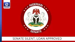 Senate Plenary: Lawmakers Keep Mum On Sen. Akpoti-Uduaghan