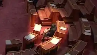 Senate suspended after Pauline Hanson wears burqa