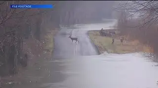 Senator Cramer works to save bi-partisan wildlife program