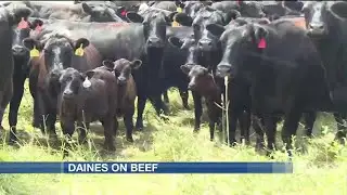 Senator Daines promotes local beef, need to open export markets