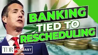 Senator Ties Cannabis Rescheduling to Banking Reform | TDR Cannabis in 5