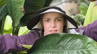 SEND HELP | Survivor | In Theaters January 30