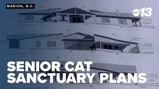 Senior cats find hope as sanctuary plans take shape in Marion