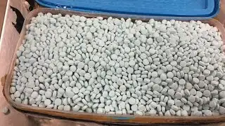 Senior Drug Overdose Deaths Increasing