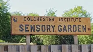 Sensory Garden Launch - Colchester Institute