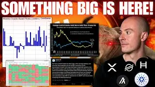 September!? Crypto Fund Inflows ETH, SOL, XRP Dominate! Litecoin Attacks XRP? Something Big Is Here!