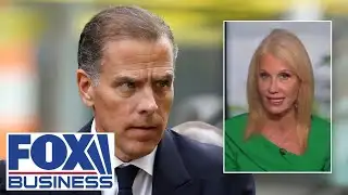 ‘SERIAL LIAR’: Hunter Biden is filled with ‘anger, bitterness, rage,’ says Kellyanne Conway