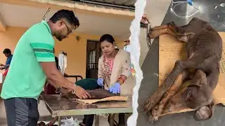 ହଠାତ୍ Serious ହୋଇଗଲେ Devil  😭 doctor ଭି ହାର ମାନିଗଲେ 😭😭