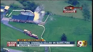 Several animals killed in barn fire