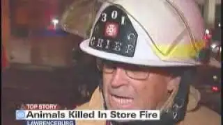 Several animals killed in store fire