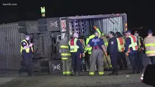 Several cows dead in rollover crash near downtown