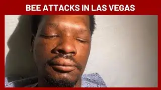 Several people attacked by bee swarm in southwest Las Vegas