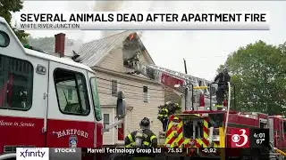 Several pets killed in Vermont apartment fire