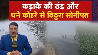 Severe cold and dense fog grips Sonipat.