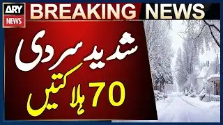 Severe Cold in Central and Eastern US Claims 70 Lives | Breaking News