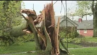 Severe weather hits the Valley, causes damage