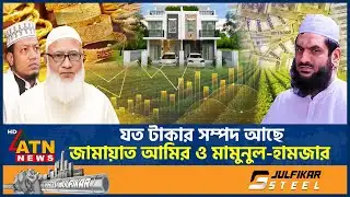 যত টাকার সম্পদ আছে জামায়াত আমির ও মামুনুল-হামজার | Shafiqur Rahman | Mamunul Haque | Hamja