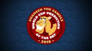 Shaheen the World Cup predicting camel is back
