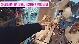 SHANGHAI NATURAL HISTORY MUSEUM (CHINA)