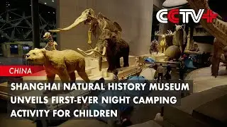 Shanghai Natural History Museum Unveils First-Ever Night Camping Activity for Children