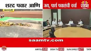 विलिनीकरणाबाबत शरद पवार आणि पार्थ पवारांमध्ये चर्चा? | Sharad Pawar | Parth Pawar