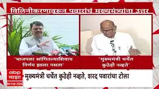 Sharad Pawar vs Devendra Fadnavis : आमच्या चर्चेत मुख्यमंत्री कुठेही नव्हेत - शरद पवार