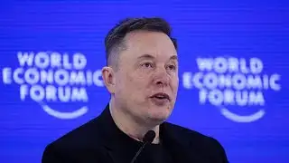 Shareholders Have No Say in Tesla, Gerber Says