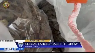 Shasta County Sheriff