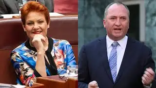 ‘She is the most authentic’: Barnaby Joyce on Pauline Hanson’s polling results