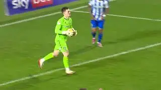 Sheffield Wednesday v Birmingham City Highlights