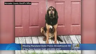 Sheriff Asking For Public