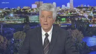 Sheriff: More than 150 dogs seized from Upstate woman