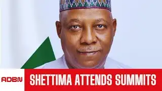 Shettima Leaves Abuja For Guinea Inauguration, Davos Summit