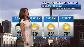 Shiri Spear 2017/08/23 FOX25