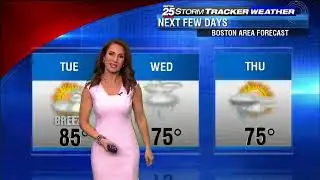 Shiri Spear 2017/09/05 FOX25