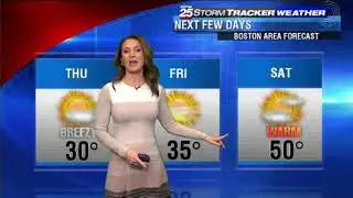 Shiri Spear 2018/01/25 FOX25
