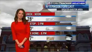 Shiri Spear 2018/01/30 FOX25