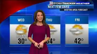 Shiri Spear 2018/01/31 FOX25