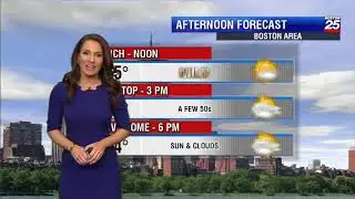 Shiri Spear 2019/03/11 FOX25