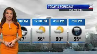 Shiri Spear 2019/03/15 FOX25