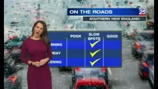 Shiri Spear is Bored with the Traffic Report