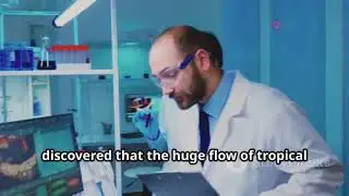 Shock Gulf Stream News Stability Top US-Scientists Find Flow Not Collapsing But “Remarkably Stable”