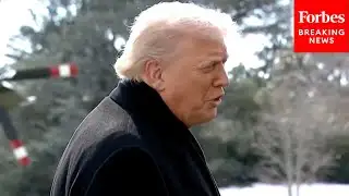 SHOCK QUOTE: Trump Says 