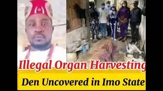 SHOCKING DISCOVERY IN IMO STATE: ILLEGAL ORGAN HARVESTING DEN UNCOVERED | FULL STORY