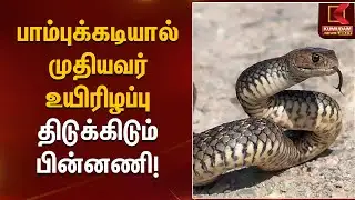 மகன்கள் ஏவி விட்ட பாம்பு - தந்தை மரண*ம் திடுக்கிடும் பின்னணி! | Shocking Incident | Kumudam News