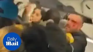 Shocking moment brawl breaks out on Delta flight to California