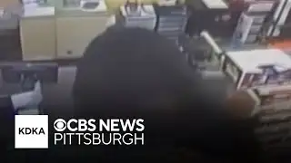 Shocking video shows bear chasing boy into Pennsylvania dollar store