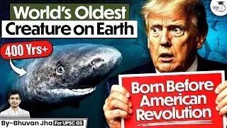 Shocking: World’s Oldest  Creature on Earth is Still Alive | Greenland Shark | UPSC | StudyIQ IAS