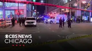 Shots fired near Chicago Theatre in the Loop